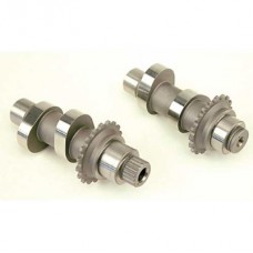 Andrews Roller Chain Conversion Camshafts 216854