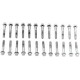 COLONY 8732-24 SCREWS VALVE CVR CHR 2401-0470