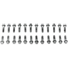 COLONY 8734-24 SCREWS VALVE CVR CHR 2401-0472