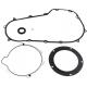 COMETIC C10196 GASKET PRIMARY SEAL KIT 0934-5959