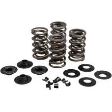 KIBBLEWHITE 20-21600 SPRING KIT .675"VL EVO/TC 0926-3168