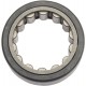 EASTERN MOTORCYCLE PARTS A-24605-07 BEARING 24605-07 0925-0928