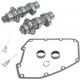 S&S CYCLE 330-0106 CAMS 583CHAIN 07-17 TC 0925-0745