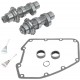 S&S CYCLE 106-4858 CAMS 551CHAIN 07-17 TC 0925-0743