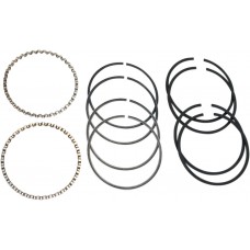 HASTINGS 6482020 RINGS 48-80 SHV 020 DS-750622