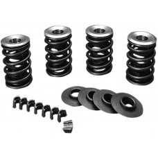 JIMS 1350K 600 LIFT SPRNG KIT EVO BT DS-199523