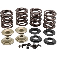 KIBBLEWHITE 20-2110 VALVE SPRING KIT 66-E84BT 0926-0800