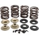 KIBBLEWHITE 20-21150 VALVE SPRING KIT.600"LIFT 0926-2930