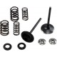 KIBBLEWHITE 30-33250 SPRING KT INT TRX450R 06- 0926-3170