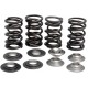 KIBBLEWHITE 30-33650 VALVE SPRING KIT 0926-3285