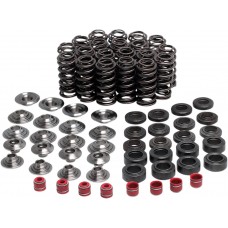 KIBBLEWHITE 80-80250 VALVE SPRING KIT YZFR1 0926-3261