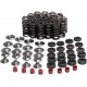 KIBBLEWHITE 80-80250 VALVE SPRING KIT YZFR1 0926-3261