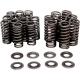 KIBBLEWHITE 80-80394 VALVE SPRING ONLY KIT 0926-3262