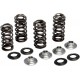 KIBBLEWHITE 80-81400 SPRING KT WR/YZ250F 04-16 0926-3161