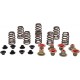 KIBBLEWHITE 82-82550 SPRING KT RZR XP1000 14 0926-3229