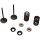 MOOSE RACING HARD-PARTS M80-82350 VALVE KIT IN MSE YZ 250F 0926-3192