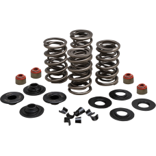 KIBBLEWHITE 20-23500 SPRING KIT 05-17 TC/XL 0926-3347