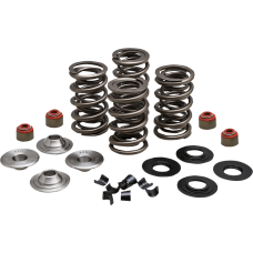 KIBBLEWHITE 20-23550 SPRING KIT 05-17 TC/XL 0926-3349