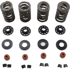 KIBBLEWHITE 20-23600 SPRING KIT 05-17 TC/XL 0926-3348