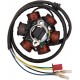 RICK'S MOTORSPORT ELECTRIC 21-061 STATOR OEM STYLE CAN-AM 2111-0193