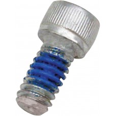 S&S CYCLE 106-2084 SCREW 1/4-20X1/2 1010-1992