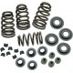 S&S CYCLE 106-5909 SPRINGS VLV .650" 05-14 0926-2069