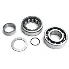 JIMS Twin Cam Outer Cam Bearing Kit 8150