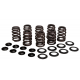 MID-USA Valve Spring Kits 61312