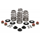 MID-USA Valve Spring Kit For Twin Cam 60306 MID-USA Valve Spring Kit For Twin Cam 60306