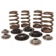 BEEHIVE VALVE SPRING KITS FOR EVOLUTION MODELS & TWIN CAM 61377