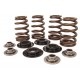 BEEHIVE VALVE SPRING KITS FOR EVOLUTION MODELS & TWIN CAM 61378