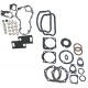 ENGINE GASKET AND SEAL SET FOR PANHEAD 64165