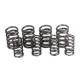 PAUGHCO VALVE SPRING SETS FOR BIG TWIN & SPORTSTER 60009