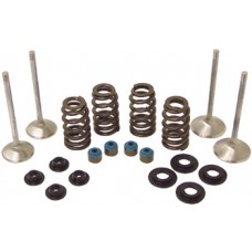 VALVE TRAIN COMPONENT KIT FOR TWIN CAM 61419
