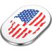 Figurati Designs Antenna Cover - Left Rear Fender - American Flag Skull - Chrome - 1405-0325  FD24-AC-SS-LT
