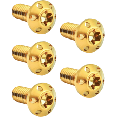 Arlen Ness Bolt Kit - Holeshot/Brake Rotor/Rear - Hub Mount - Gold - 3/8"-16 x 1" - 5 Pack - 2401-1703  300-911