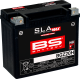 Bs Battery Battery - BGZ20H - 2113-0935 300933