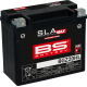 Bs Battery Battery - BGZ20HL - 2113-0934 300934