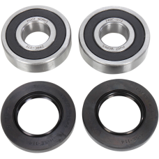 Pivot Works Wheel Bearing Kit - Rear - Kawasaki/Victory - 0215-0818  PWRWS-V02-000