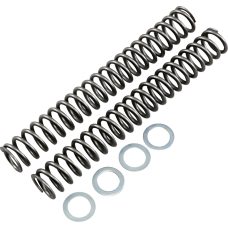 Race Tech Fork Springs - 1.00 kg/mm - 0405-0206  FRSP S3627100
