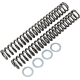 Race Tech Fork Springs - 1.00 kg/mm - 0405-0206  FRSP S3627100