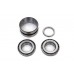 Left Crankcase Main Bearing Set 12-0430