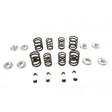 Sifton Sifton XL Valve Spring Kit - 11-1436