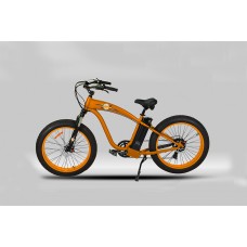 E-Bike 36 Volt 750 Watt 51-0000