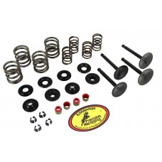 V-Twin Kibblewhite Valve and Spring Kit 11-2025