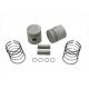V-Twin Piston Kit .070 Oversize 11-0407