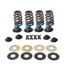 S&ampS Spring, Kit, Valve, Street Performance, 900-0594