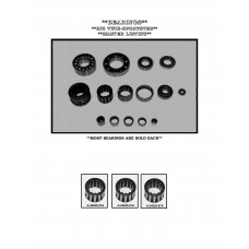 BEARING,FRONT CHAIN HOUSING A-8975