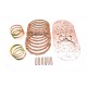 Clutch and Spring Kit 18-1150