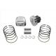 Forged .005 10:1 Compression Piston Kit 11-9896